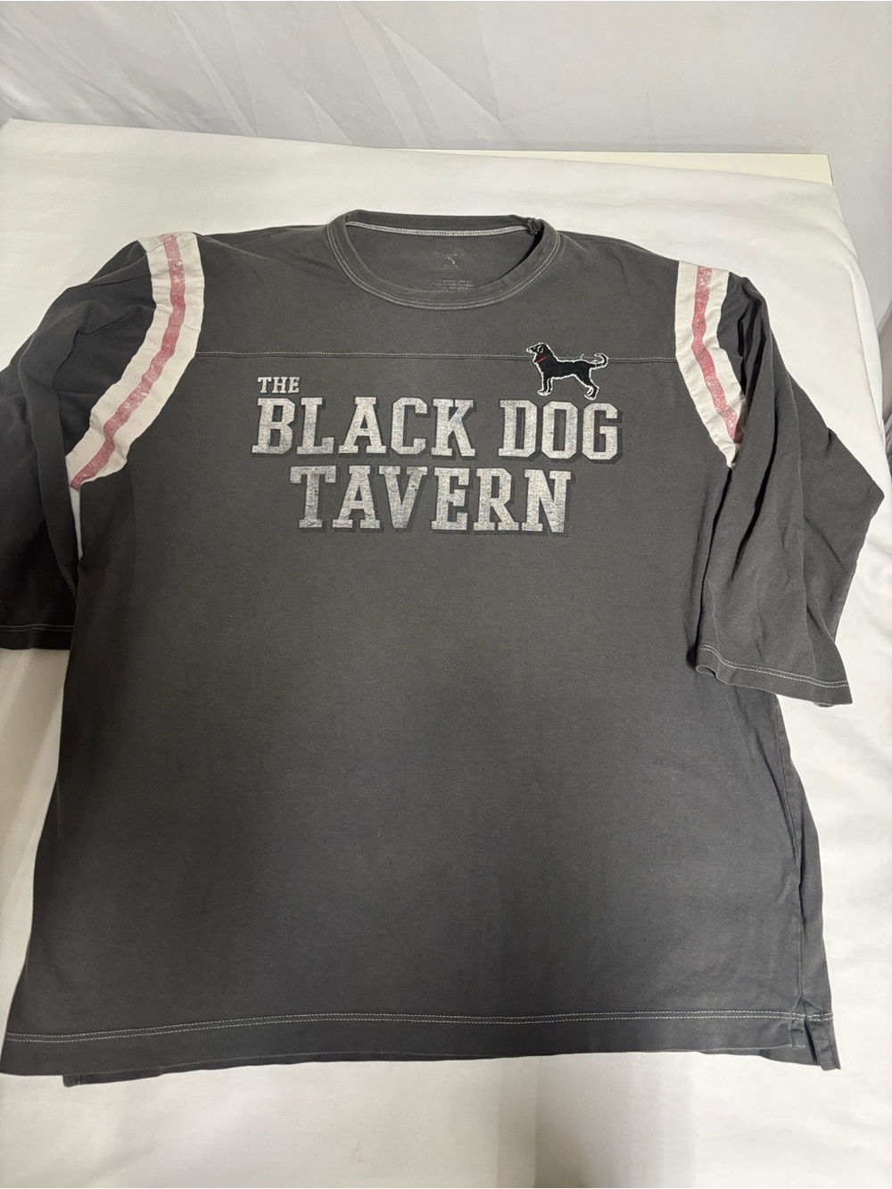 Classic Black Dog Tavern varsity-style graphic tee in washed charcoal gray. Feat